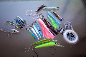 An assortment of lures used